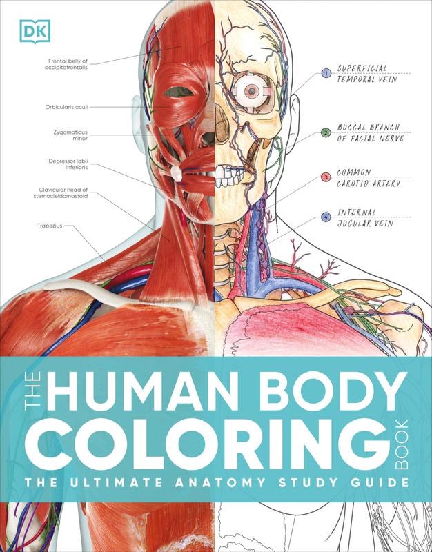 Thryve™ AnatomyColor Pro