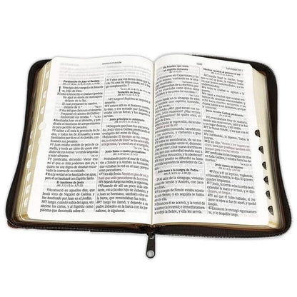 Thryve™ Biblia LuzDivina RVR1960v
