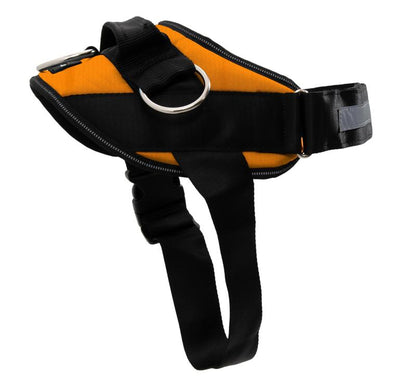 Thryve™ WalkEase No-Pull Harness