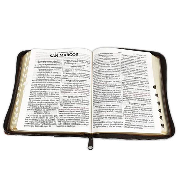 Thryve™ Biblia LuzDivina RVR1960v