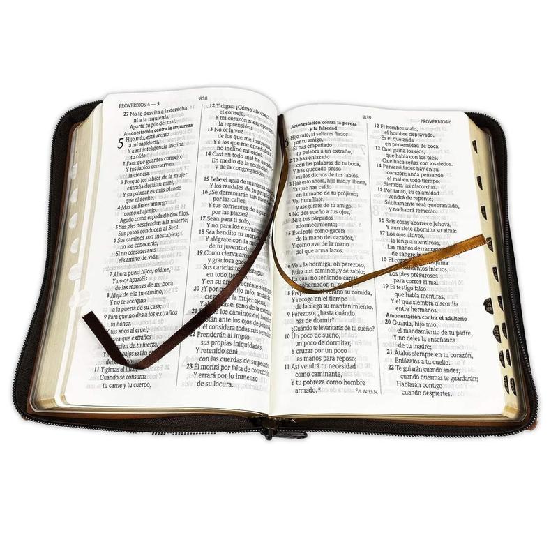 Thryve™ Biblia LuzDivina RVR1960v