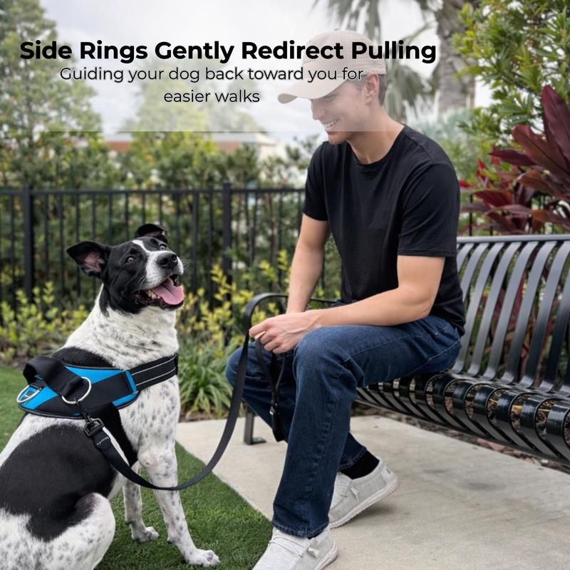 Thryve™ WalkEase No-Pull Harness