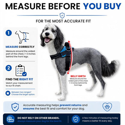 Thryve™ WalkEase No-Pull Harness